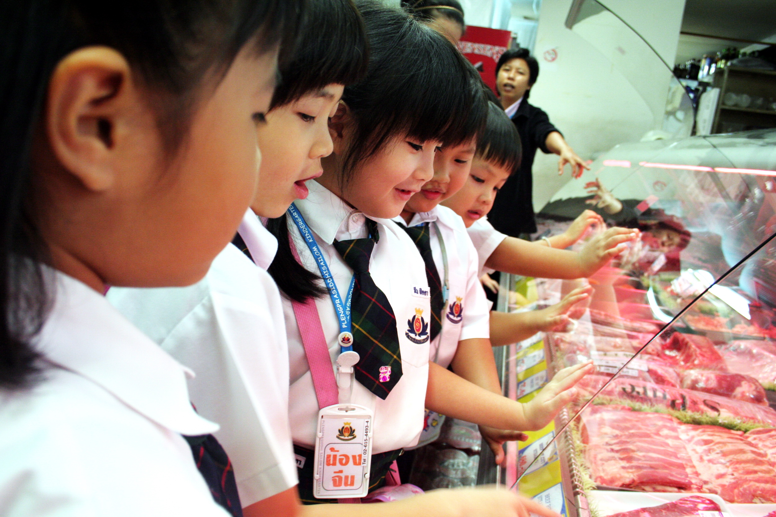 หลักสูตร